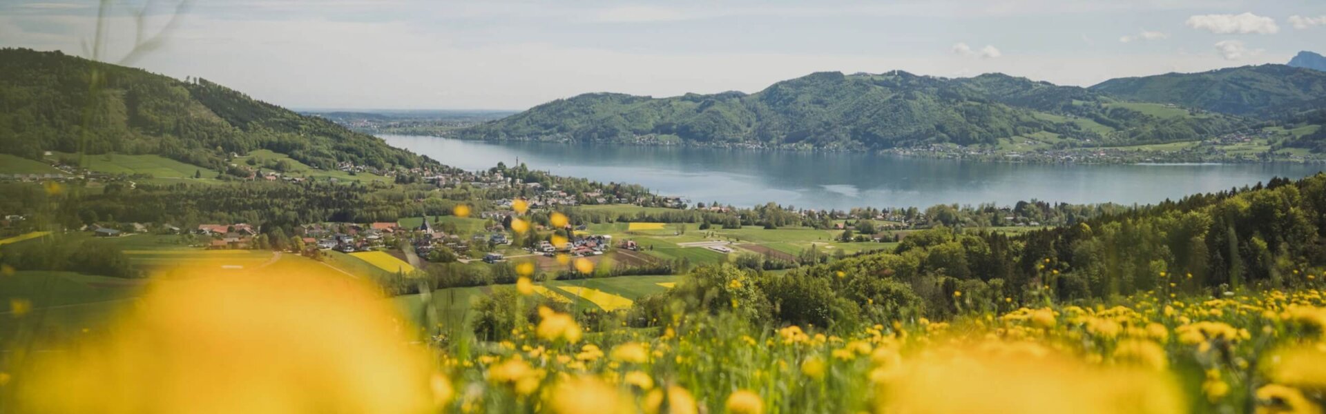 Blick auf das Hotel und den See, Blumenwiese