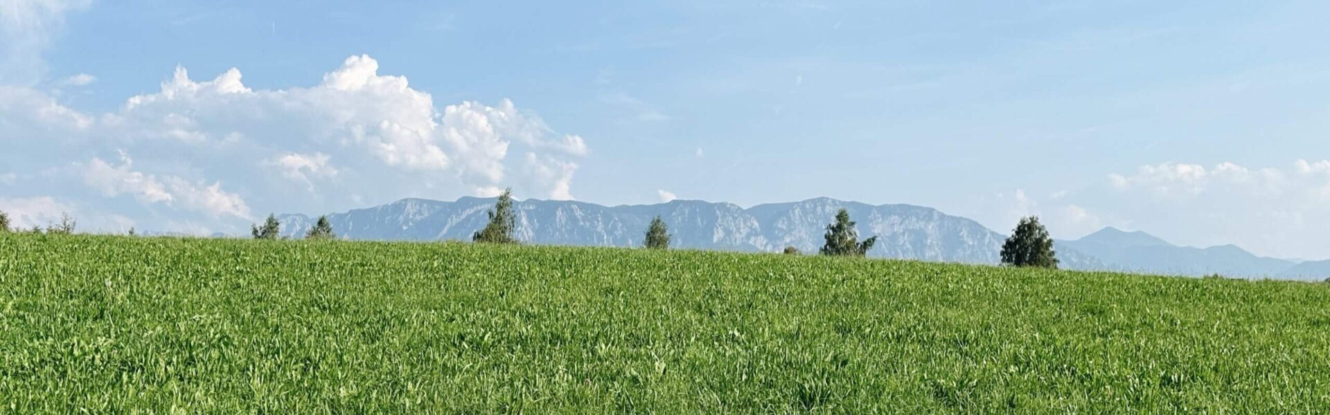Ausblick im Hotelzimmer, Panorama, Berge