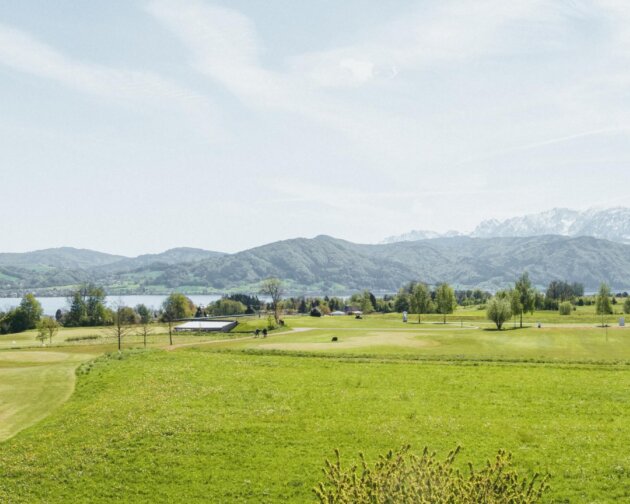 Panoramablick zu den Alpen und den Attersee