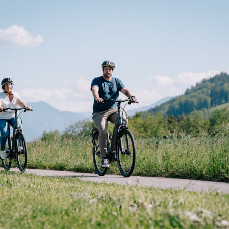 E-Bike am Attersee